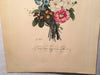 Jean Louis Prevost Hand Colored Print "Lankspur, Primula, Narcissus No 2"   - TvMovieCards.com