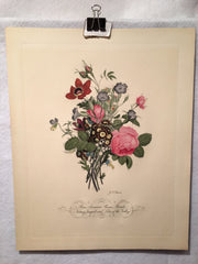 Jean Louis Prevost Hand Colored Print "Roses, Anemones, Pansies No. 4"   - TvMovieCards.com