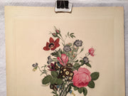 Jean Louis Prevost Hand Colored Print "Roses, Anemones, Pansies No. 4"   - TvMovieCards.com
