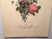 Jean Louis Prevost Hand Colored Print "Roses, Anemones, Pansies No. 4"   - TvMovieCards.com