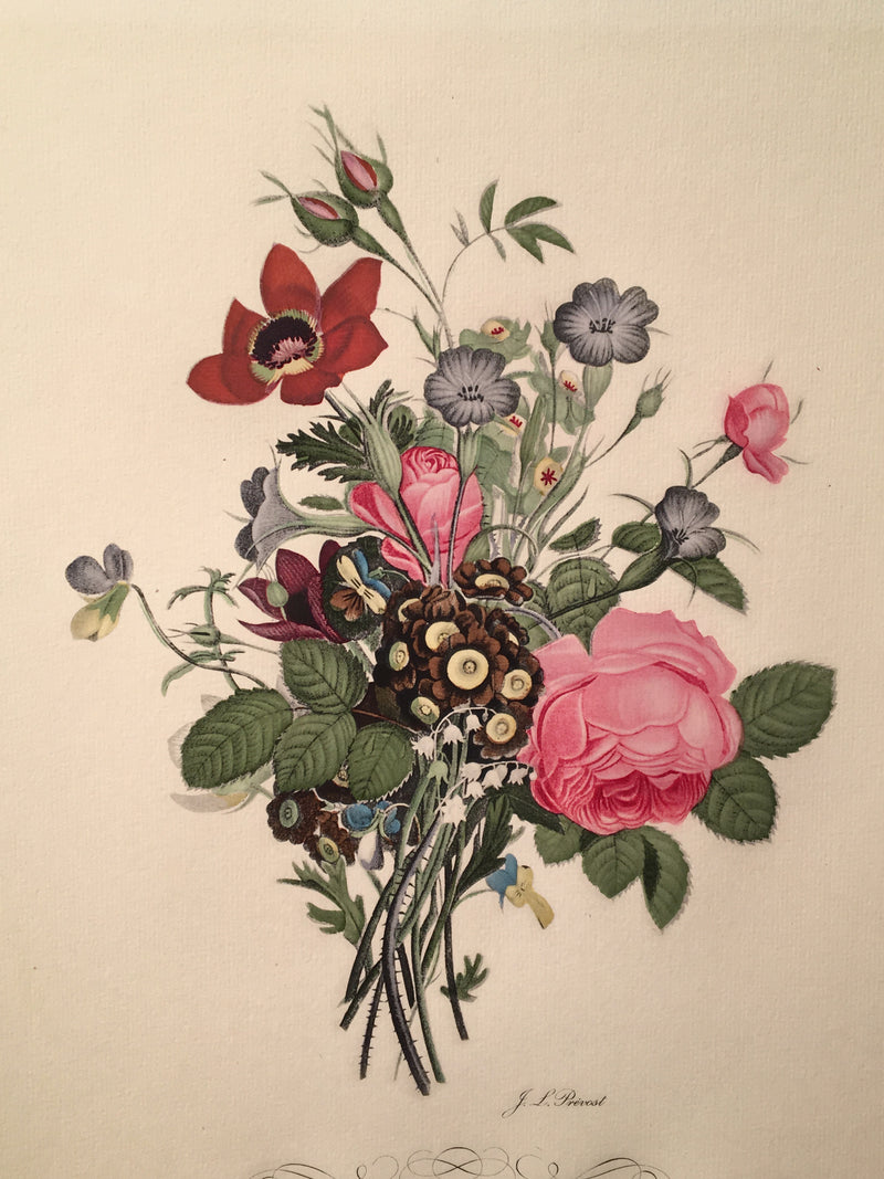 Jean Louis Prevost Hand Colored Print "Roses, Anemones, Pansies No. 4"   - TvMovieCards.com