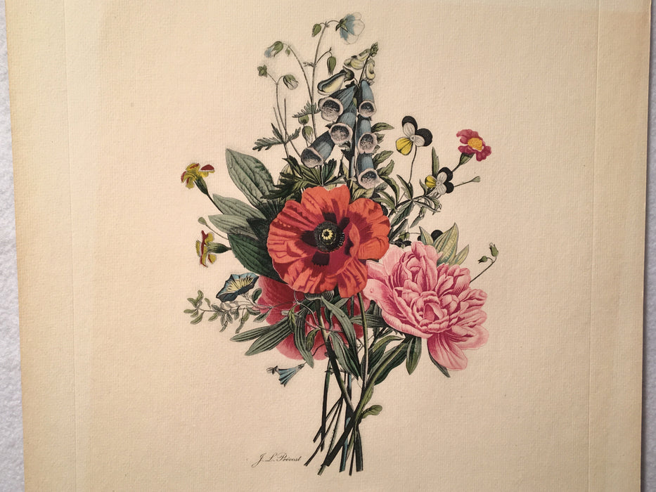 Jean Louis Prevost Hand Colored Print "Pansies Poppies Peony No. 6"   - TvMovieCards.com