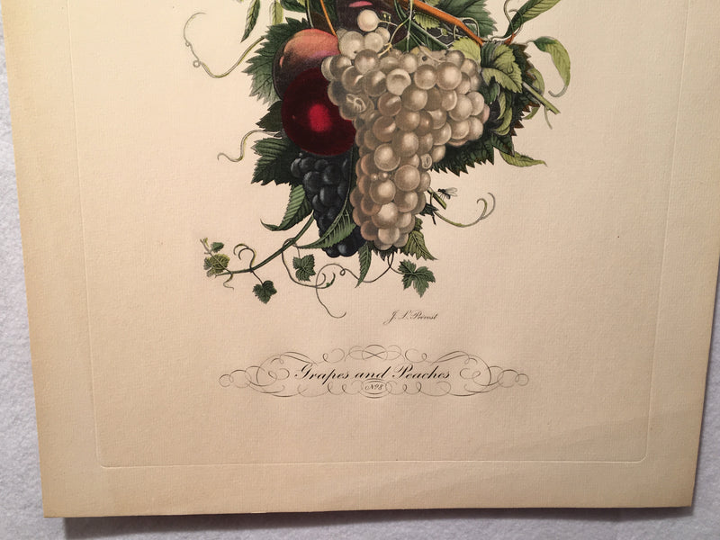 Jean Louis Prevost Hand Colored Print "Grapes and Peachs No. 8"   - TvMovieCards.com