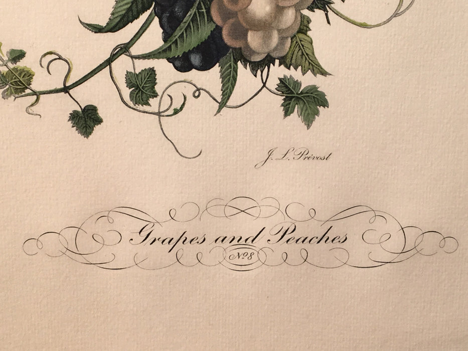 Jean Louis Prevost Hand Colored Print "Grapes and Peachs No. 8"   - TvMovieCards.com