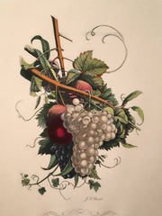 Jean Louis Prevost Hand Colored Print "Grapes and Peachs No. 8"   - TvMovieCards.com