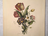 Jean Louis Prevost Hand Colored Print "Tulips, Primula, Carnation No. 9"   - TvMovieCards.com