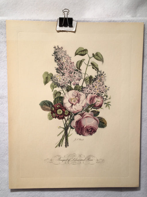 Jean Louis Prevost Hand Colored Print "Bouquet of Lilacs and Roses No. 10"   - TvMovieCards.com