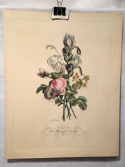 Jean Louis Prevost Hand Colored Print "Iris Roses and Narcissus No. 11"   - TvMovieCards.com