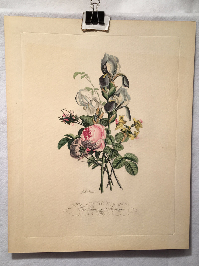 Jean Louis Prevost Hand Colored Print "Iris Roses and Narcissus No. 11"   - TvMovieCards.com