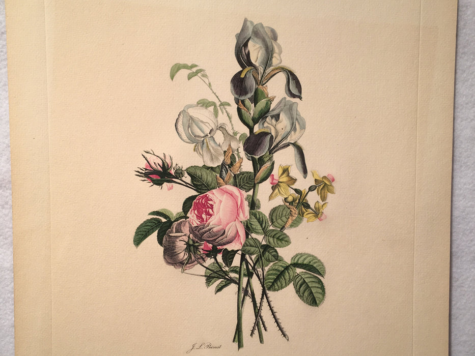 Jean Louis Prevost Hand Colored Print "Iris Roses and Narcissus No. 11"   - TvMovieCards.com