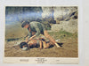 1970 Soldier Blue #4 Lobby Card 11 x 14 Candice Bergen Peter Strauss   - TvMovieCards.com