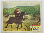 1949 Stampede Lobby Card 11 x 14 Rod Cameron Gale Storm Johnny Mack Brown   - TvMovieCards.com