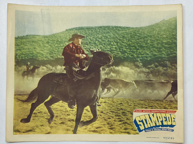 1949 Stampede Lobby Card 11 x 14 Rod Cameron Gale Storm Johnny Mack Brown   - TvMovieCards.com