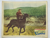 1949 Stampede Lobby Card 11 x 14 Rod Cameron Gale Storm Johnny Mack Brown   - TvMovieCards.com