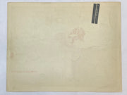 1949 Stampede Lobby Card 11 x 14 Rod Cameron Gale Storm Johnny Mack Brown   - TvMovieCards.com