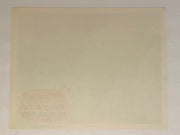 1954R Riders of the Whistling Pines 11 x 14 Lobby Card Gene Autry, Champion #7   - TvMovieCards.com