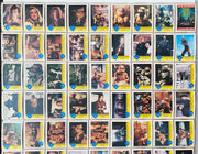 Teenage Mutant Ninja Turtles Movie 1 132 Card & 11 Sticker Set OPC O-Pee-Chee   - TvMovieCards.com