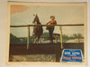 1950 Mule Train Lobby Card 11 x 14 Gene Autry, Champion, Sheila Ryan   - TvMovieCards.com