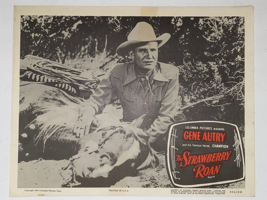 R1954 The Strawberry Roan 11x14 Lobby Card Gene Autry, Champion, Gloria Henry   - TvMovieCards.com