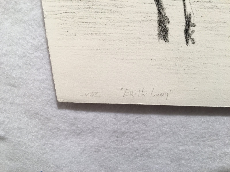 Robert R. Malone "Earth Lung" S/N Lithograph Art Print 20 x 29   - TvMovieCards.com