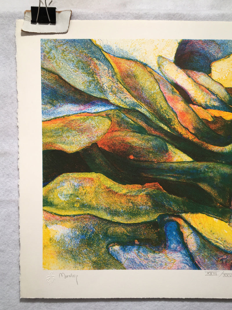 Robert R. Malone "Morning" S/N Lithograph Art Print 15 x 22   - TvMovieCards.com