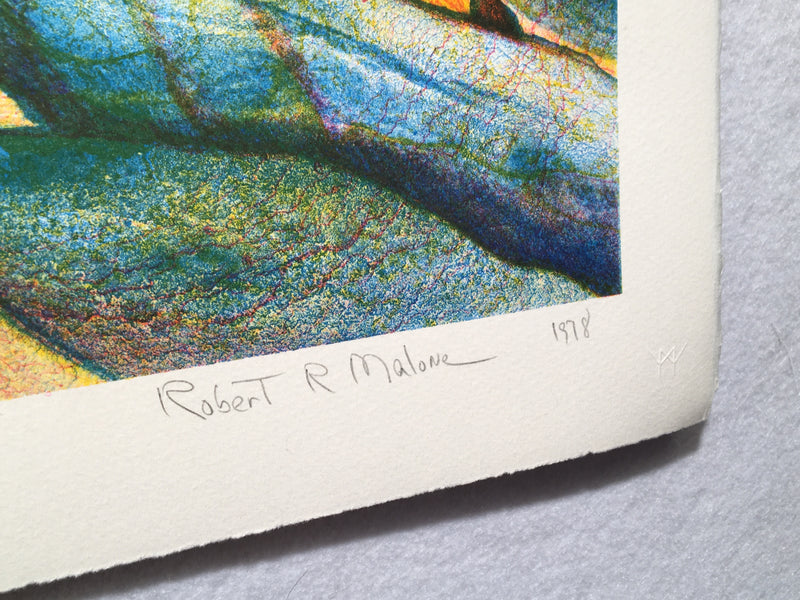 Robert R. Malone "Morning" S/N Lithograph Art Print 15 x 22   - TvMovieCards.com