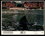 Jaws 3-D (1983) Lobby Card (Set of 8) Original 8 x 10 Dennis Quaid   - TvMovieCards.com