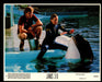 Jaws 3-D (1983) Lobby Card (Set of 8) Original 8 x 10 Dennis Quaid   - TvMovieCards.com