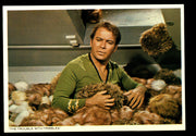 STAR TREK TOS The Original Series (48) PostCard Set 1977 You Pick Card Number #11 Trouble with the Tribbles  - TvMovieCards.com