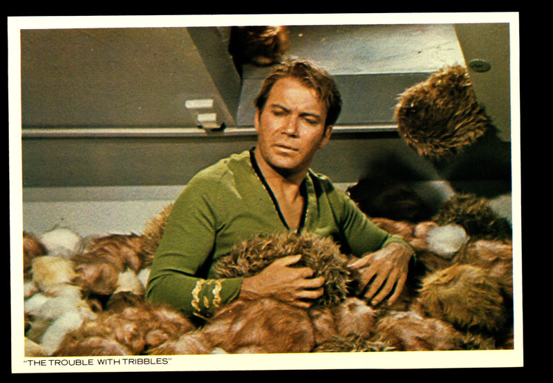 STAR TREK TOS The Original Series (48) PostCard Set 1977 You Pick Card Number #11 Trouble with the Tribbles  - TvMovieCards.com