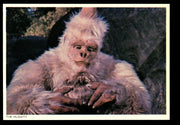 STAR TREK TOS The Original Series (48) PostCard Set 1977 You Pick Card Number #39 The Mugato  - TvMovieCards.com
