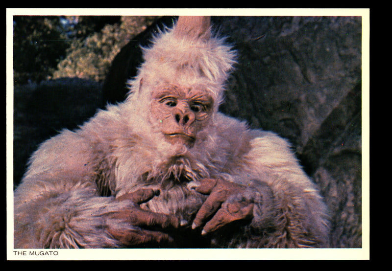 STAR TREK TOS The Original Series (48) PostCard Set 1977 You Pick Card Number #39 The Mugato  - TvMovieCards.com