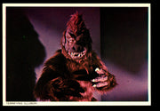STAR TREK TOS The Original Series (48) PostCard Set 1977 You Pick Card Number #42 Terrifying Illusion  - TvMovieCards.com