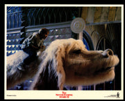 1990 Never Ending Story II Lobby Card Set of 8 Original 8 x 10 Jonathan Brandis   - TvMovieCards.com