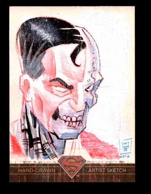 Superman: The Legend 2013 Cryptozoic DC Comics Sketch Card by William Bronson   - TvMovieCards.com