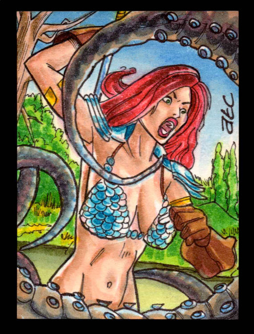 Red Sonja 2011 (Breygent) Color Artist Sketch Trading Card by Adam Cleveland   - TvMovieCards.com