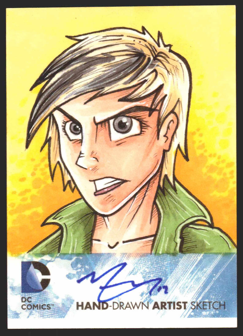 2012 DC Comics: The New 52 Cryptozoic Sketch Trading Card   - TvMovieCards.com