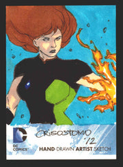 2012 DC Comics The New 52 Cryptozoic Sketch Trading Card by Dennis Crisostomo   - TvMovieCards.com