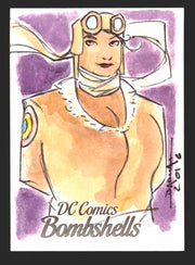 2017 DC Comics Bombshells Cryptozoic Artist Sketch Card by Barush Merling   - TvMovieCards.com