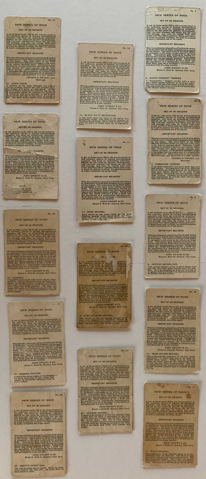 New Series of Dogs 14 Soda Card Lot J14 Small JOHN DWIGHT Church Arm & Hammer   - TvMovieCards.com