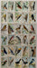 Useful Birds of America 2nd Series 30 Card Set Church & Dwight J-6 w/o   - TvMovieCards.com