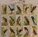 Useful Birds of America 6th 15 Card Set Type 3 Church & Dwight J-9 Arm & Hammer   - TvMovieCards.com