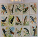 Useful Birds of America 7th 15 Card Set Type 1 Church & Dwight J-9 (3)   - TvMovieCards.com
