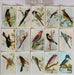 Useful Birds of America 8th 15 Card Set Type 2 Church & Dwight J-9 (4)   - TvMovieCards.com