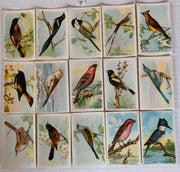 Useful Birds of America 8th 15 Card Set Type 3 Church & Dwight J-9 (4)   - TvMovieCards.com