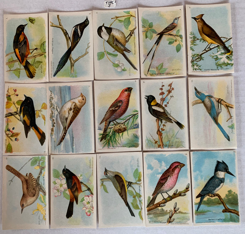 Useful Birds of America 8th 15 Card Set Type 3 Church & Dwight J-9 (4)   - TvMovieCards.com