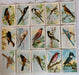 Useful Birds of America 8th 15 Card Set Type 3 Church & Dwight J-9 (4)   - TvMovieCards.com