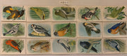Useful Birds of America 9th Series Card Set 70 Pine St. J-9 Type 5-2C  Church &   - TvMovieCards.com
