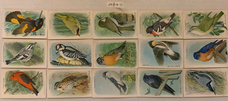 Useful Birds of America 9th Series Card Set 70 Pine St. J-9 Type 5-2C  Church &   - TvMovieCards.com