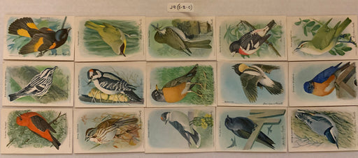Useful Birds of America 9th Series Card Set 70 Pine St. J-9 Type 5-2C  Church &   - TvMovieCards.com